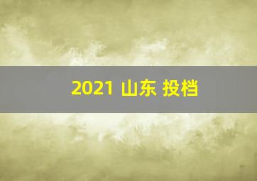 2021 山东 投档